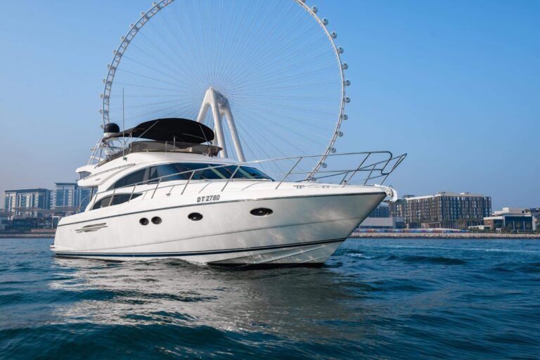 PRINCESS 64′