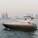 Prencess shark dubai