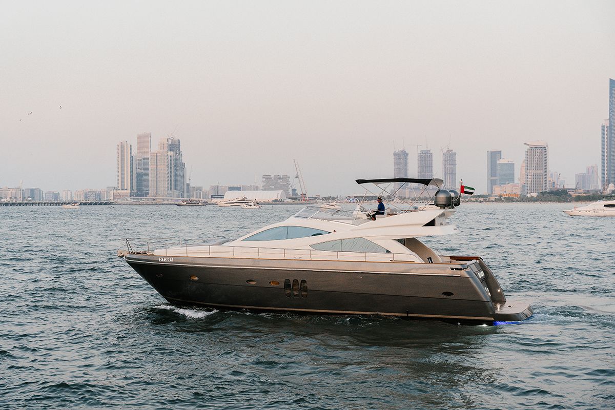 Prencess shark dubai